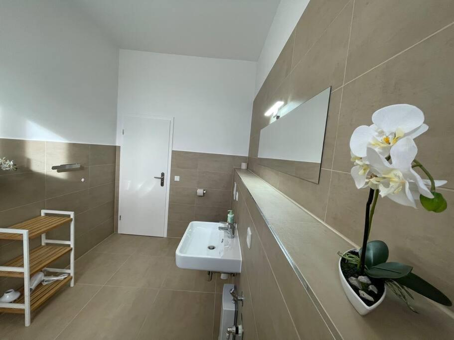 Lucky Stays Ls10 - Vollausstattung - Zentrum - Aufzug - Grosse Kueche - 2 Zimmer - Smart-Tv มัคเดอบวร์ก ภายนอก รูปภาพ